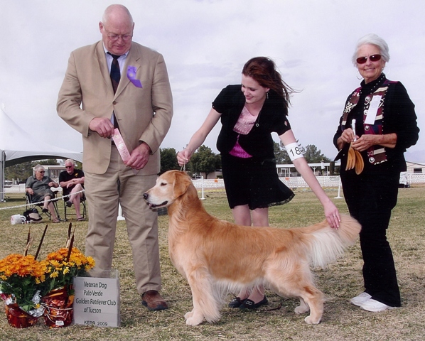 James Dean - Veteran Dog 2009 - Palo Verde Golden Reteiver Club of Tucson