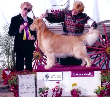 Best of breed - Scotsdale 2005
